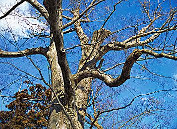 Shroud参与开发 创新FPS《Spectre Divide》9月4日发售